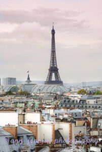 La Tour Eiffel from the Printemps terrace
