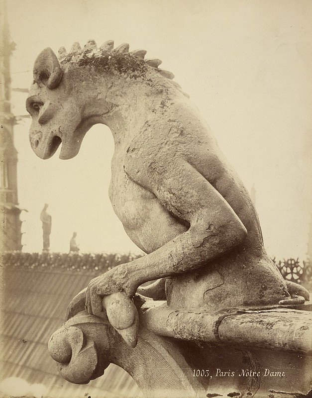 gargoyle,notre Dame de Paris